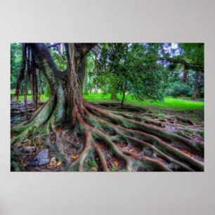 Baum des Lebens Poster