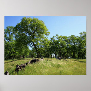 "Baum des Lebens" Poster