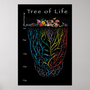 Baum des Lebens Poster