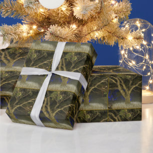 Baum des Leuchtenumschlagpapiers Geschenkpapier