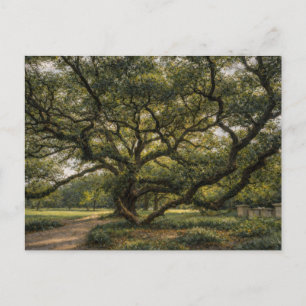 Baum des südlichen Lebens   Live Oak Art   Postkar Postkarte