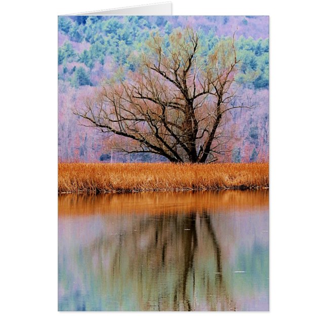 Baum des Überganges (Vorne)