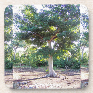 Baum des Weisheit-Kork-Untersetzer Untersetzer