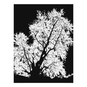 Baum Fotodruck