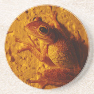 Baum Frog, Untersetzer