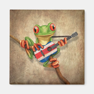 Baum-Frosch, der Costa Rica-Flaggen-Gitarre spielt Magnet
