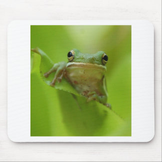 Baum-Frosch-Grün fertigen Sprung besonders an Mousepad