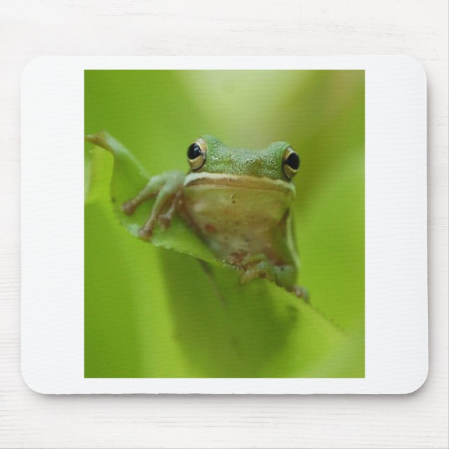 Baum-Frosch-Grün fertigen Sprung besonders an Mousepad (Vorne)