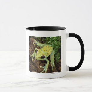 Baum-Frosch (Hylidae) Tasse