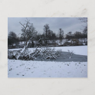 Baum hängt im Winter im Wasser Postkarte