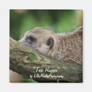 Baum Hugger Magnet