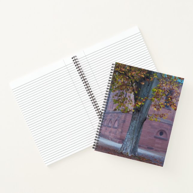 Baum im Dom Park | Deutschland Notizbuch (Innenseite)