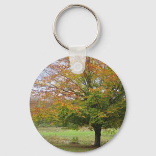 Baum im Herbst-Schlüsselanhänger Schlüsselanhänger