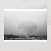 Baum im Nebel