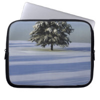 Baum im Schnee umfaßte Landschaft