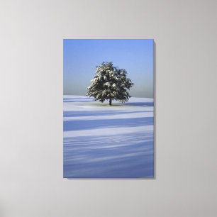 Baum im Schnee umfaßte Landschaft Leinwanddruck