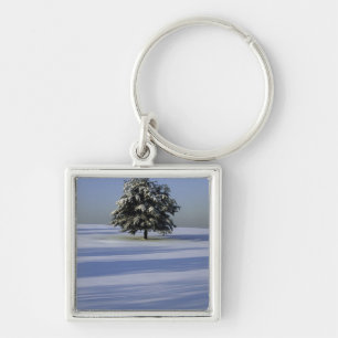 Baum im Schnee umfaßte Landschaft Schlüsselanhänger