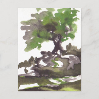 Baum im sommerlichen Wasser Postkarte