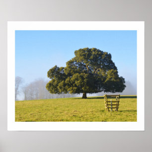 Baum im Winter Poster