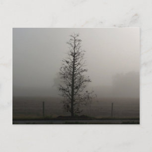 Baum in Fog 038 Postkarte