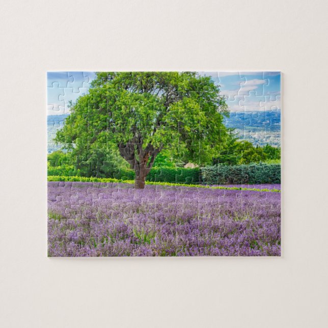 Baum in Lavender Field, Frankreich (Horizontal)