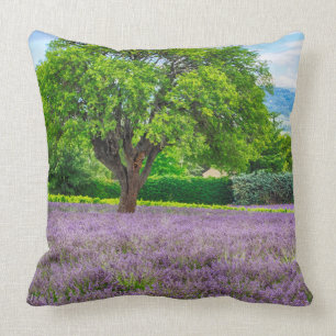 Baum in Lavender Field, Frankreich Kissen