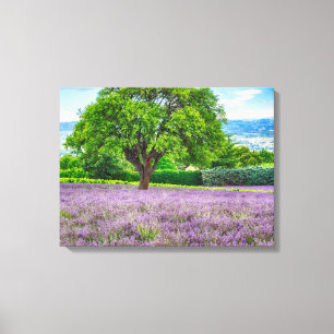 Baum in Lavender Field, Frankreich Leinwanddruck