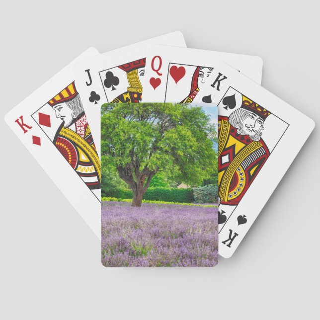 Baum in Lavender Field, Frankreich Spielkarten (Rückseite)