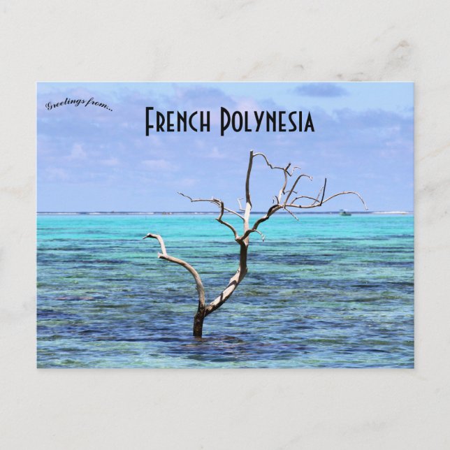 Baum in Mo'orea Französisch-Polynesien Postkarte (Vorderseite)