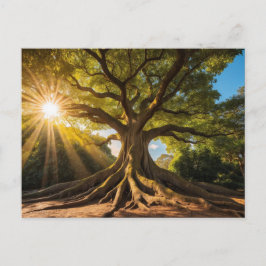 Baum in Sonnenstrahlen Postkarte