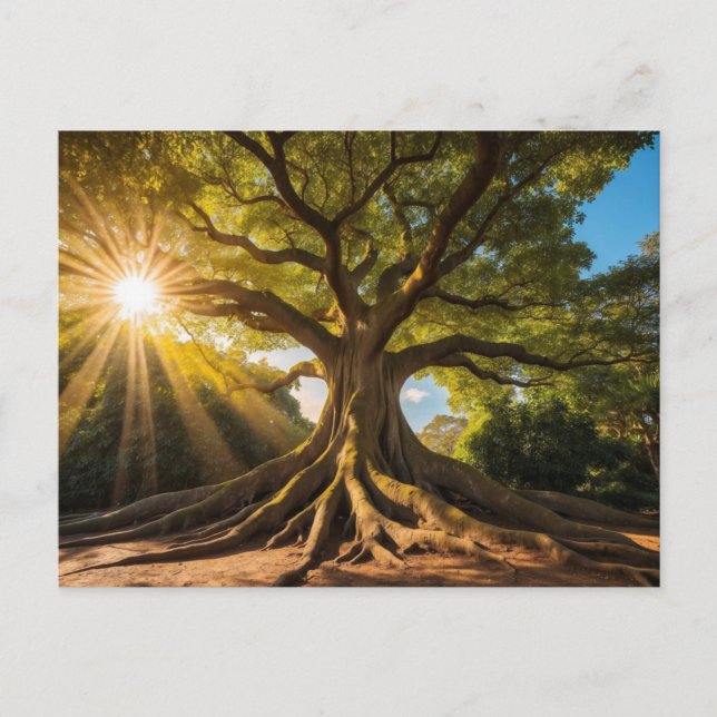 Baum in Sonnenstrahlen Postkarte (Vorderseite)