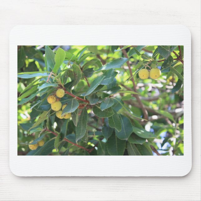 Baum, Italien Mousepad (Vorne)