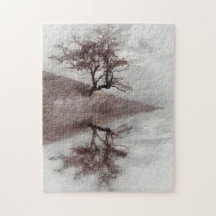 Baum-Kunstphotographie