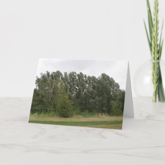 Baum Landschaftsgrußkarte Karte (Vorderseite)