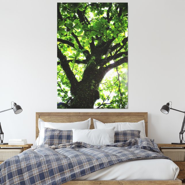Baum Leinwanddruck (Insitu (Schlafzimmer))