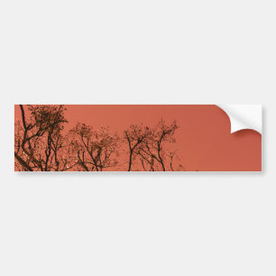 Baum mit rotem Himmel Autoaufkleber
