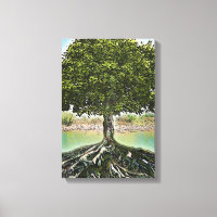 Baum mit Wurzeln durch Wasser