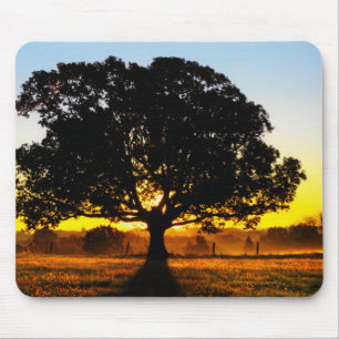 Baum morgens mousepad