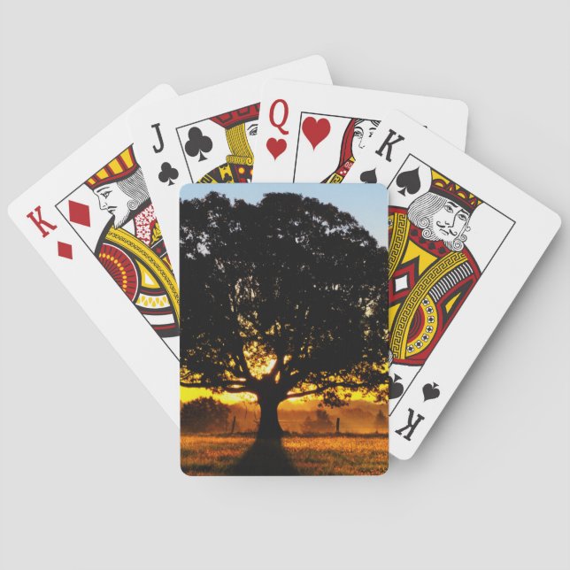 Baum morgens spielkarten (Rückseite)