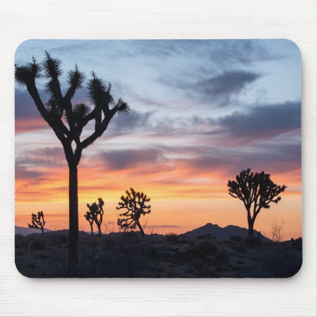 Baum Mousepad (Vorne)