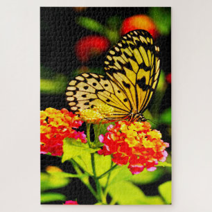 Baum Nymph Butterfly. Jigsaw Puzzle