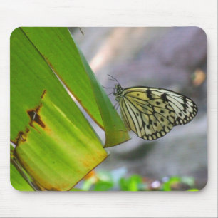 Baum-Nymphen-Reis-Papier-Schmetterling Mousepad