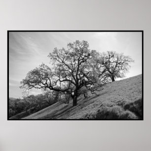 Baum-Poesie-Druck Poster