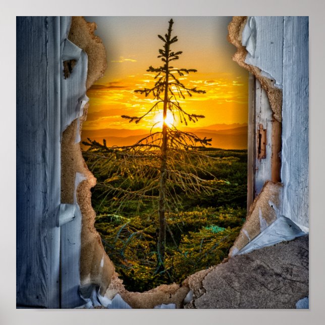 Baum Poster (Vorne)