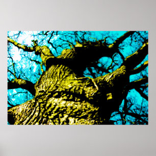 Baum Poster