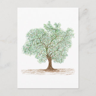 Baum Postkarte