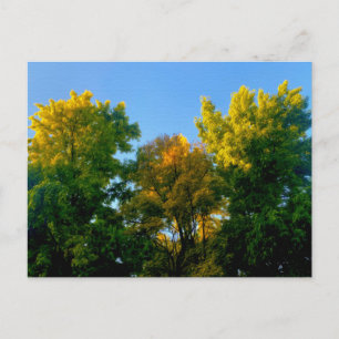 Baum Postkarte