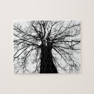 Baum-Silhouette in Schwarzweiss