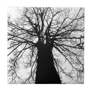 Baum-Silhouette in Schwarzweiss Fliese
