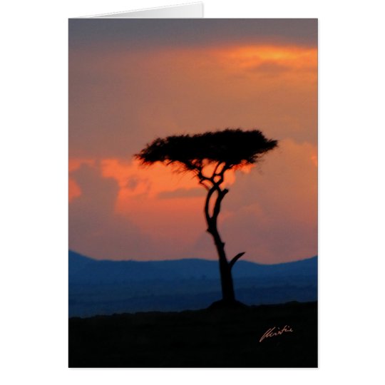 Baum-Silhouette u. Sonnenuntergang, Karte